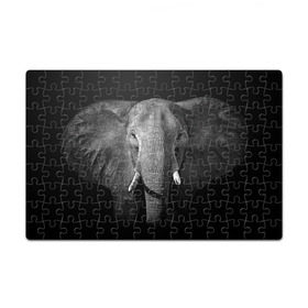 Пазл магнитный 126 элементов с принтом Слон в Кировске, полимерный материал с магнитным слоем | 126 деталей, размер изделия —  180*270 мм | animal | big | black   white | elephant | wild | большой | дикий | животное | слон | черно   белый
