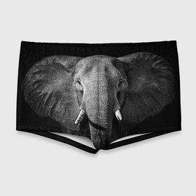 Мужские купальные плавки 3D с принтом Слон в Кировске, Полиэстер 85%, Спандекс 15% |  | Тематика изображения на принте: animal | big | black   white | elephant | wild | большой | дикий | животное | слон | черно   белый