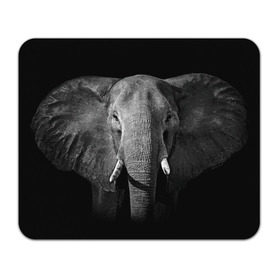 Коврик прямоугольный с принтом Слон в Кировске, натуральный каучук | размер 230 х 185 мм; запечатка лицевой стороны | animal | big | black   white | elephant | wild | большой | дикий | животное | слон | черно   белый