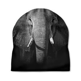 Шапка 3D с принтом Слон в Кировске, 100% полиэстер | универсальный размер, печать по всей поверхности изделия | Тематика изображения на принте: animal | big | black   white | elephant | wild | большой | дикий | животное | слон | черно   белый