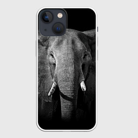 Чехол для iPhone 13 mini с принтом Слон в Кировске,  |  | animal | big | black   white | elephant | wild | большой | дикий | животное | слон | черно   белый