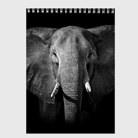 Скетчбук с принтом Слон в Кировске, 100% бумага
 | 48 листов, плотность листов — 100 г/м2, плотность картонной обложки — 250 г/м2. Листы скреплены сверху удобной пружинной спиралью | animal | big | black   white | elephant | wild | большой | дикий | животное | слон | черно   белый