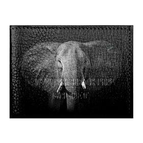 Обложка для студенческого билета с принтом Слон в Кировске, натуральная кожа | Размер: 11*8 см; Печать на всей внешней стороне | animal | big | black   white | elephant | wild | большой | дикий | животное | слон | черно   белый