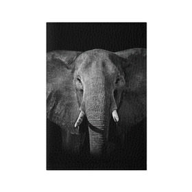 Обложка для паспорта матовая кожа с принтом Слон в Кировске, натуральная матовая кожа | размер 19,3 х 13,7 см; прозрачные пластиковые крепления | Тематика изображения на принте: animal | big | black   white | elephant | wild | большой | дикий | животное | слон | черно   белый