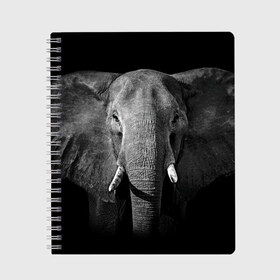 Тетрадь с принтом Слон в Кировске, 100% бумага | 48 листов, плотность листов — 60 г/м2, плотность картонной обложки — 250 г/м2. Листы скреплены сбоку удобной пружинной спиралью. Уголки страниц и обложки скругленные. Цвет линий — светло-серый
 | Тематика изображения на принте: animal | big | black   white | elephant | wild | большой | дикий | животное | слон | черно   белый
