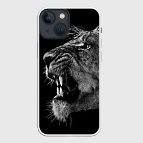 Чехол для iPhone 13 mini с принтом Львица в Кировске,  |  | animal | fangs | head | lion | lioness | predator | teeth | wild | голова | дикая | животное | клыки | лев | львица | оскал | хищник