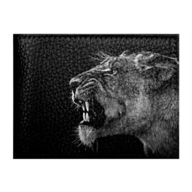 Обложка для студенческого билета с принтом Львица в Кировске, натуральная кожа | Размер: 11*8 см; Печать на всей внешней стороне | animal | fangs | head | lion | lioness | predator | teeth | wild | голова | дикая | животное | клыки | лев | львица | оскал | хищник