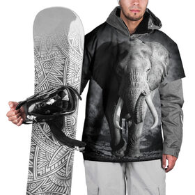 Накидка на куртку 3D с принтом Слон в Кировске, 100% полиэстер |  | africa | animal | big | black   white | elephant | go | road | savannah | wild | африка | большой | дикий | дорога | животное | идет | саванна | слон | черно   белый