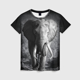 Женская футболка 3D с принтом Слон в Кировске, 100% полиэфир ( синтетическое хлопкоподобное полотно) | прямой крой, круглый вырез горловины, длина до линии бедер | africa | animal | big | black   white | elephant | go | road | savannah | wild | африка | большой | дикий | дорога | животное | идет | саванна | слон | черно   белый