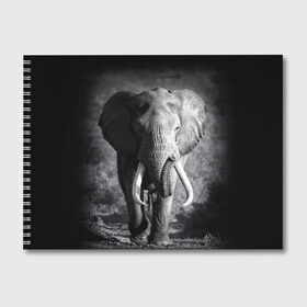 Альбом для рисования с принтом Слон в Кировске, 100% бумага
 | матовая бумага, плотность 200 мг. | africa | animal | big | black   white | elephant | go | road | savannah | wild | африка | большой | дикий | дорога | животное | идет | саванна | слон | черно   белый