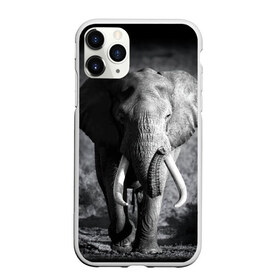Чехол для iPhone 11 Pro матовый с принтом Слон в Кировске, Силикон |  | africa | animal | big | black   white | elephant | go | road | savannah | wild | африка | большой | дикий | дорога | животное | идет | саванна | слон | черно   белый