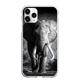 Чехол для iPhone 11 Pro Max матовый с принтом Слон в Кировске, Силикон |  | africa | animal | big | black   white | elephant | go | road | savannah | wild | африка | большой | дикий | дорога | животное | идет | саванна | слон | черно   белый