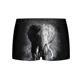 Мужские трусы 3D с принтом Слон в Кировске, 50% хлопок, 50% полиэстер | классическая посадка, на поясе мягкая тканевая резинка | africa | animal | big | black   white | elephant | go | road | savannah | wild | африка | большой | дикий | дорога | животное | идет | саванна | слон | черно   белый