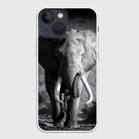 Чехол для iPhone 13 mini с принтом Слон в Кировске,  |  | africa | animal | big | black   white | elephant | go | road | savannah | wild | африка | большой | дикий | дорога | животное | идет | саванна | слон | черно   белый