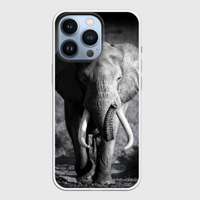 Чехол для iPhone 13 Pro с принтом Слон в Кировске,  |  | africa | animal | big | black   white | elephant | go | road | savannah | wild | африка | большой | дикий | дорога | животное | идет | саванна | слон | черно   белый