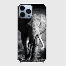 Чехол для iPhone 13 Pro Max с принтом Слон в Кировске,  |  | Тематика изображения на принте: africa | animal | big | black   white | elephant | go | road | savannah | wild | африка | большой | дикий | дорога | животное | идет | саванна | слон | черно   белый
