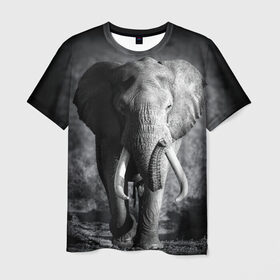Мужская футболка 3D с принтом Слон в Кировске, 100% полиэфир | прямой крой, круглый вырез горловины, длина до линии бедер | africa | animal | big | black   white | elephant | go | road | savannah | wild | африка | большой | дикий | дорога | животное | идет | саванна | слон | черно   белый