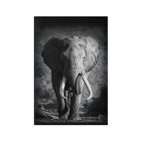 Обложка для паспорта матовая кожа с принтом Слон в Кировске, натуральная матовая кожа | размер 19,3 х 13,7 см; прозрачные пластиковые крепления | africa | animal | big | black   white | elephant | go | road | savannah | wild | африка | большой | дикий | дорога | животное | идет | саванна | слон | черно   белый