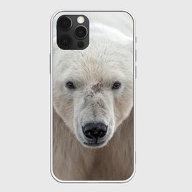 Чехол для iPhone 12 Pro Max с принтом Белый медведь в Кировске, Силикон |  | animal | bear | eyes | head | north | polar | predator | white | wild | белый | взгляд | голова | дикий | животное | медведь | полярный | север | хищник