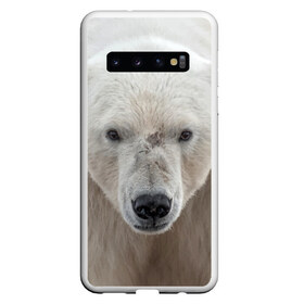 Чехол для Samsung Galaxy S10 с принтом Белый медведь в Кировске, Силикон | Область печати: задняя сторона чехла, без боковых панелей | animal | bear | eyes | head | north | polar | predator | white | wild | белый | взгляд | голова | дикий | животное | медведь | полярный | север | хищник