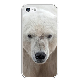 Чехол для iPhone 5/5S матовый с принтом Белый медведь в Кировске, Силикон | Область печати: задняя сторона чехла, без боковых панелей | animal | bear | eyes | head | north | polar | predator | white | wild | белый | взгляд | голова | дикий | животное | медведь | полярный | север | хищник