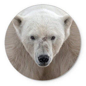 Коврик круглый с принтом Белый медведь в Кировске, резина и полиэстер | круглая форма, изображение наносится на всю лицевую часть | animal | bear | eyes | head | north | polar | predator | white | wild | белый | взгляд | голова | дикий | животное | медведь | полярный | север | хищник