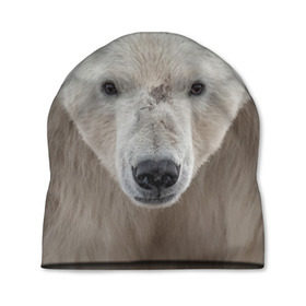 Шапка 3D с принтом Белый медведь в Кировске, 100% полиэстер | универсальный размер, печать по всей поверхности изделия | Тематика изображения на принте: animal | bear | eyes | head | north | polar | predator | white | wild | белый | взгляд | голова | дикий | животное | медведь | полярный | север | хищник