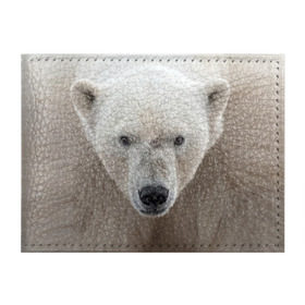 Обложка для студенческого билета с принтом Белый медведь в Кировске, натуральная кожа | Размер: 11*8 см; Печать на всей внешней стороне | animal | bear | eyes | head | north | polar | predator | white | wild | белый | взгляд | голова | дикий | животное | медведь | полярный | север | хищник
