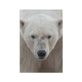 Обложка для паспорта матовая кожа с принтом Белый медведь в Кировске, натуральная матовая кожа | размер 19,3 х 13,7 см; прозрачные пластиковые крепления | Тематика изображения на принте: animal | bear | eyes | head | north | polar | predator | white | wild | белый | взгляд | голова | дикий | животное | медведь | полярный | север | хищник