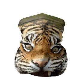 Бандана-труба 3D с принтом Тигр в Кировске, 100% полиэстер, ткань с особыми свойствами — Activecool | плотность 150‒180 г/м2; хорошо тянется, но сохраняет форму | angry | animal | beast | jaws | predator | teeth | tiger | животное | зверь | злой | клыки | оскал | пасть | тигр | хищник