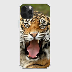 Чехол для iPhone 12 Pro Max с принтом Тигр в Кировске, Силикон |  | angry | animal | beast | jaws | predator | teeth | tiger | животное | зверь | злой | клыки | оскал | пасть | тигр | хищник