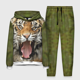 Мужской костюм 3D (с толстовкой) с принтом Тигр в Кировске,  |  | Тематика изображения на принте: angry | animal | beast | jaws | predator | teeth | tiger | животное | зверь | злой | клыки | оскал | пасть | тигр | хищник