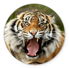 Коврик круглый с принтом Тигр в Кировске, резина и полиэстер | круглая форма, изображение наносится на всю лицевую часть | Тематика изображения на принте: angry | animal | beast | jaws | predator | teeth | tiger | животное | зверь | злой | клыки | оскал | пасть | тигр | хищник