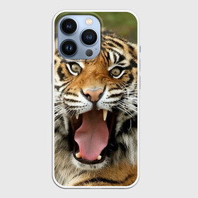 Чехол для iPhone 13 Pro с принтом Тигр в Кировске,  |  | angry | animal | beast | jaws | predator | teeth | tiger | животное | зверь | злой | клыки | оскал | пасть | тигр | хищник