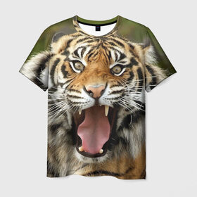 Мужская футболка 3D с принтом Тигр в Кировске, 100% полиэфир | прямой крой, круглый вырез горловины, длина до линии бедер | angry | animal | beast | jaws | predator | teeth | tiger | животное | зверь | злой | клыки | оскал | пасть | тигр | хищник