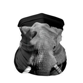 Бандана-труба 3D с принтом Слон в Кировске, 100% полиэстер, ткань с особыми свойствами — Activecool | плотность 150‒180 г/м2; хорошо тянется, но сохраняет форму | africa | big | black   white | elephant is an animal | shroud | tusks | африка | бивни | большой | животное | идет | савана | слон | черно   белый