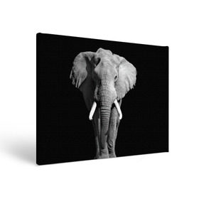 Холст прямоугольный с принтом Слон в Кировске, 100% ПВХ |  | africa | big | black   white | elephant is an animal | shroud | tusks | африка | бивни | большой | животное | идет | савана | слон | черно   белый