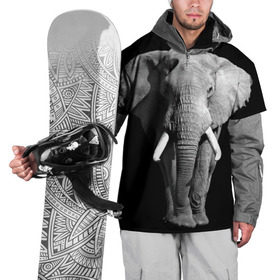 Накидка на куртку 3D с принтом Слон в Кировске, 100% полиэстер |  | africa | big | black   white | elephant is an animal | shroud | tusks | африка | бивни | большой | животное | идет | савана | слон | черно   белый