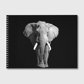 Альбом для рисования с принтом Слон в Кировске, 100% бумага
 | матовая бумага, плотность 200 мг. | africa | big | black   white | elephant is an animal | shroud | tusks | африка | бивни | большой | животное | идет | савана | слон | черно   белый