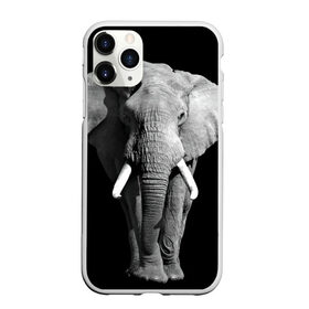 Чехол для iPhone 11 Pro матовый с принтом Слон в Кировске, Силикон |  | africa | big | black   white | elephant is an animal | shroud | tusks | африка | бивни | большой | животное | идет | савана | слон | черно   белый