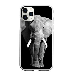 Чехол для iPhone 11 Pro Max матовый с принтом Слон в Кировске, Силикон |  | Тематика изображения на принте: africa | big | black   white | elephant is an animal | shroud | tusks | африка | бивни | большой | животное | идет | савана | слон | черно   белый