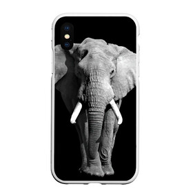 Чехол для iPhone XS Max матовый с принтом Слон в Кировске, Силикон | Область печати: задняя сторона чехла, без боковых панелей | africa | big | black   white | elephant is an animal | shroud | tusks | африка | бивни | большой | животное | идет | савана | слон | черно   белый