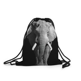 Рюкзак-мешок 3D с принтом Слон в Кировске, 100% полиэстер | плотность ткани — 200 г/м2, размер — 35 х 45 см; лямки — толстые шнурки, застежка на шнуровке, без карманов и подкладки | africa | big | black   white | elephant is an animal | shroud | tusks | африка | бивни | большой | животное | идет | савана | слон | черно   белый