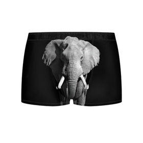 Мужские трусы 3D с принтом Слон в Кировске, 50% хлопок, 50% полиэстер | классическая посадка, на поясе мягкая тканевая резинка | africa | big | black   white | elephant is an animal | shroud | tusks | африка | бивни | большой | животное | идет | савана | слон | черно   белый