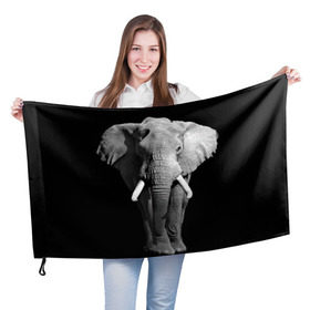 Флаг 3D с принтом Слон в Кировске, 100% полиэстер | плотность ткани — 95 г/м2, размер — 67 х 109 см. Принт наносится с одной стороны | africa | big | black   white | elephant is an animal | shroud | tusks | африка | бивни | большой | животное | идет | савана | слон | черно   белый