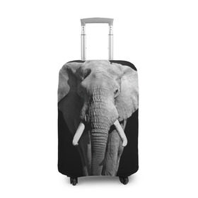 Чехол для чемодана 3D с принтом Слон в Кировске, 86% полиэфир, 14% спандекс | двустороннее нанесение принта, прорези для ручек и колес | africa | big | black   white | elephant is an animal | shroud | tusks | африка | бивни | большой | животное | идет | савана | слон | черно   белый