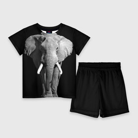 Детский костюм с шортами 3D с принтом Слон в Кировске,  |  | africa | big | black   white | elephant is an animal | shroud | tusks | африка | бивни | большой | животное | идет | савана | слон | черно   белый