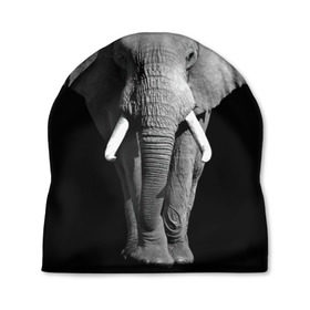 Шапка 3D с принтом Слон в Кировске, 100% полиэстер | универсальный размер, печать по всей поверхности изделия | Тематика изображения на принте: africa | big | black   white | elephant is an animal | shroud | tusks | африка | бивни | большой | животное | идет | савана | слон | черно   белый