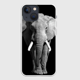 Чехол для iPhone 13 mini с принтом Слон в Кировске,  |  | africa | big | black   white | elephant is an animal | shroud | tusks | африка | бивни | большой | животное | идет | савана | слон | черно   белый