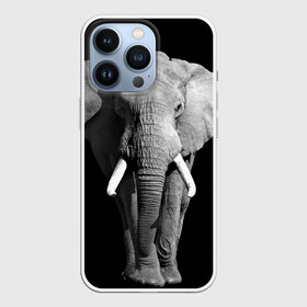 Чехол для iPhone 13 Pro с принтом Слон в Кировске,  |  | africa | big | black   white | elephant is an animal | shroud | tusks | африка | бивни | большой | животное | идет | савана | слон | черно   белый